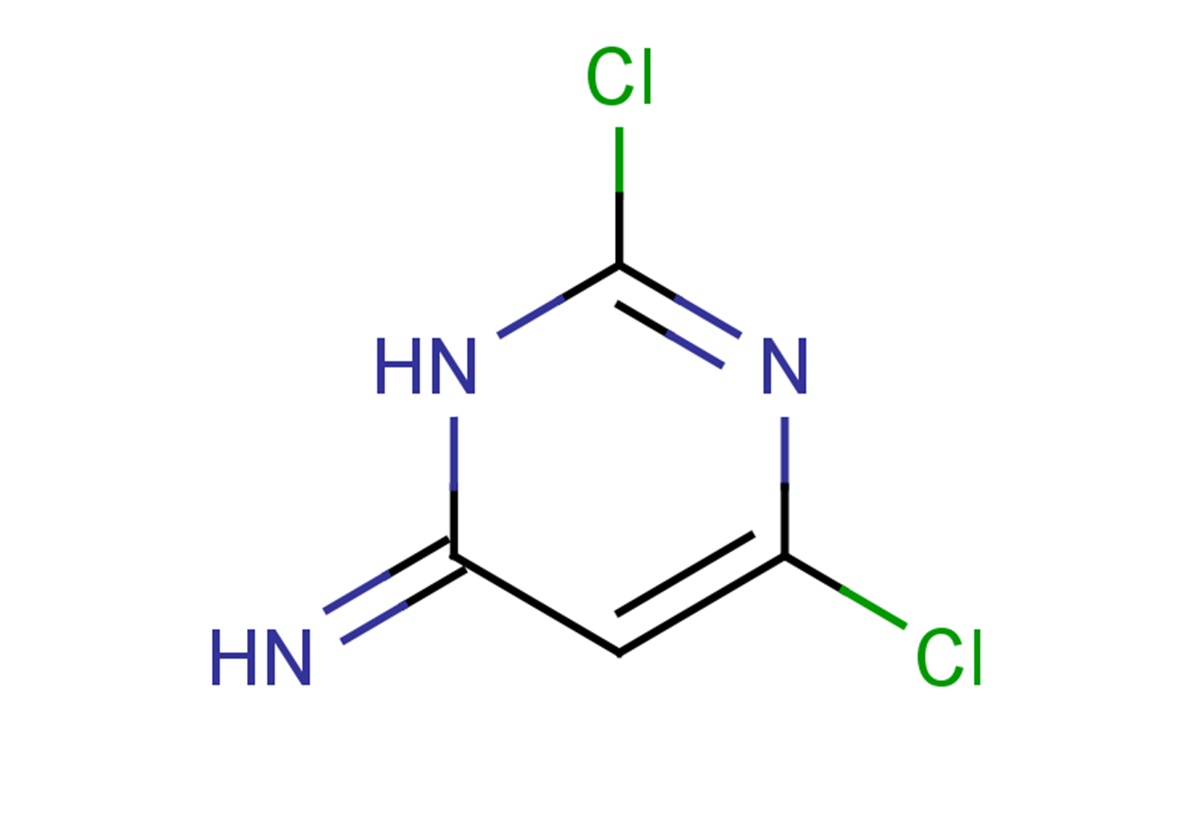 2,6-dichloro-3,4-dihydropyrimidin-4-imine