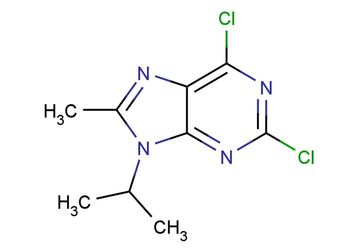 2,6-dichloro-8-methyl-9-(propan-2-yl)-9H-purine