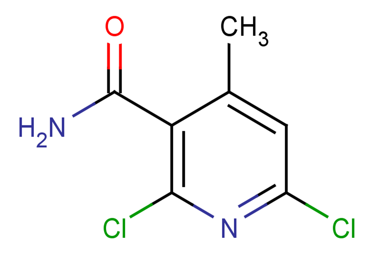 2,6-dichloro-4-methylpyridine-3-carboxamide