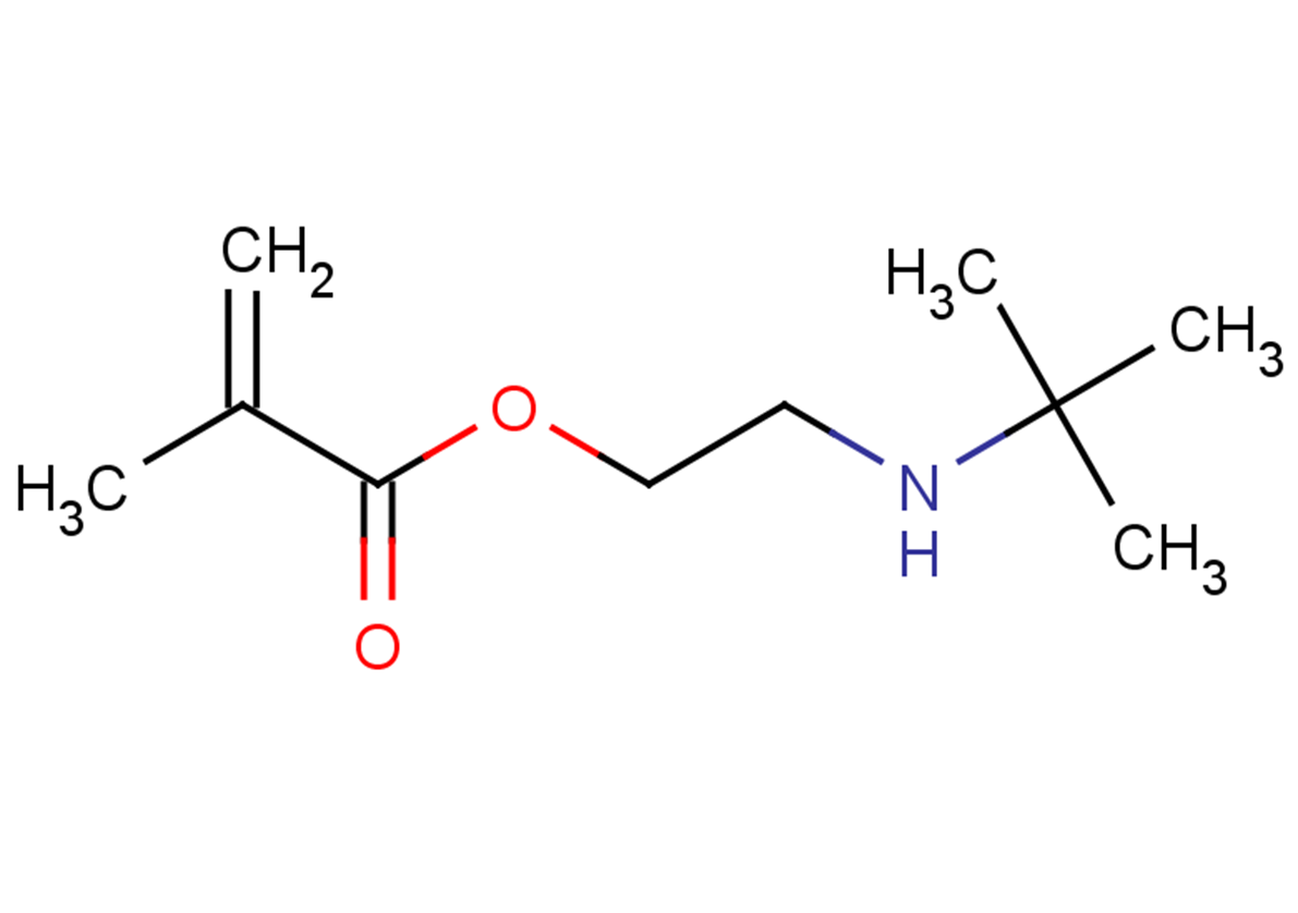 2-(tert-butylamino)ethyl 2-methylprop-2-enoate