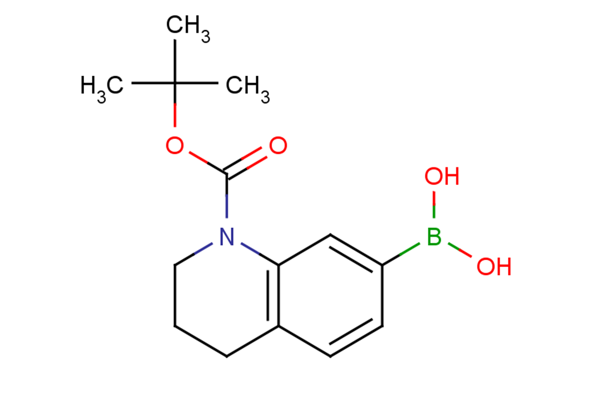 tert-butyl 7-(dihydroxyboranyl)-1,2,3,4-tetrahydroquinoline-1-carboxylate