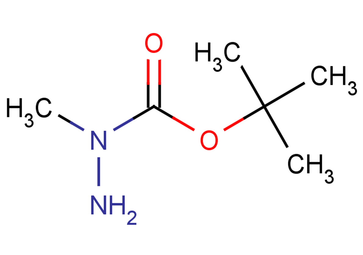 (tert-butoxy)-N-methylcarbohydrazide