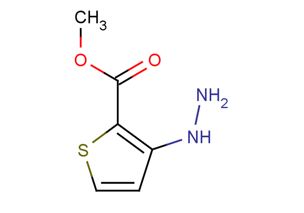 methyl 3-hydrazinylthiophene-2-carboxylate