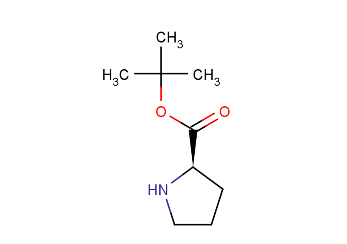 tert-butyl (2R)-pyrrolidine-2-carboxylate