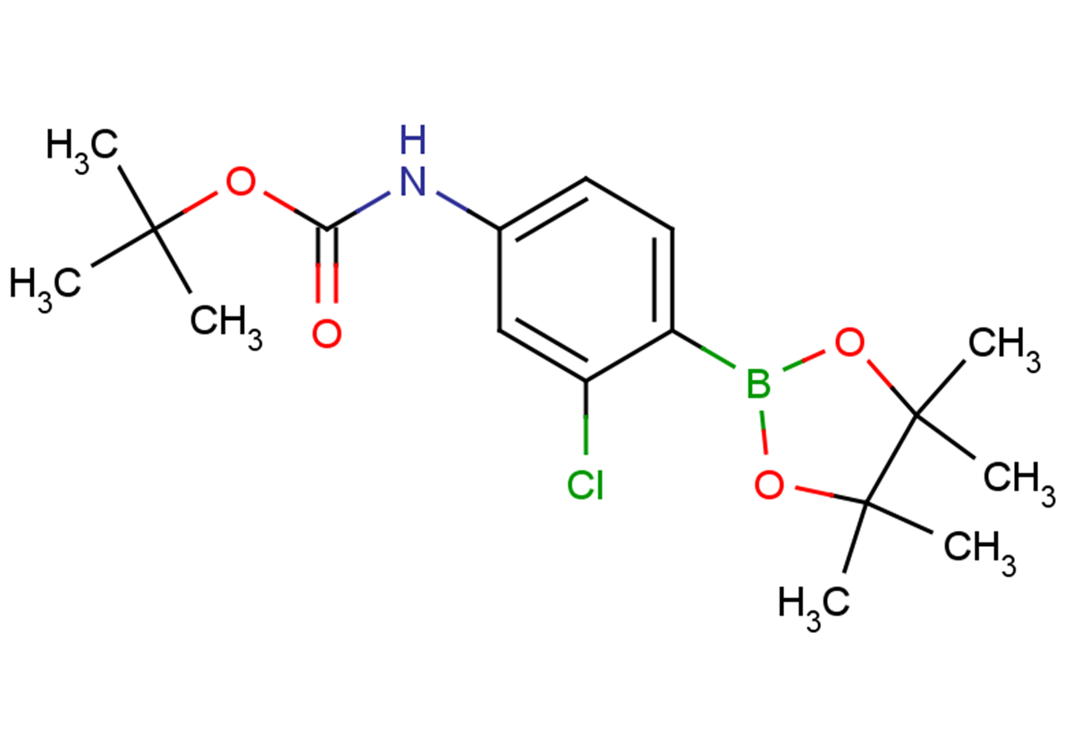 tert-butyl N-[3-chloro-4-(4,4,5,5-tetramethyl-1,3,2-dioxaborolan-2-yl)phenyl]carbamate