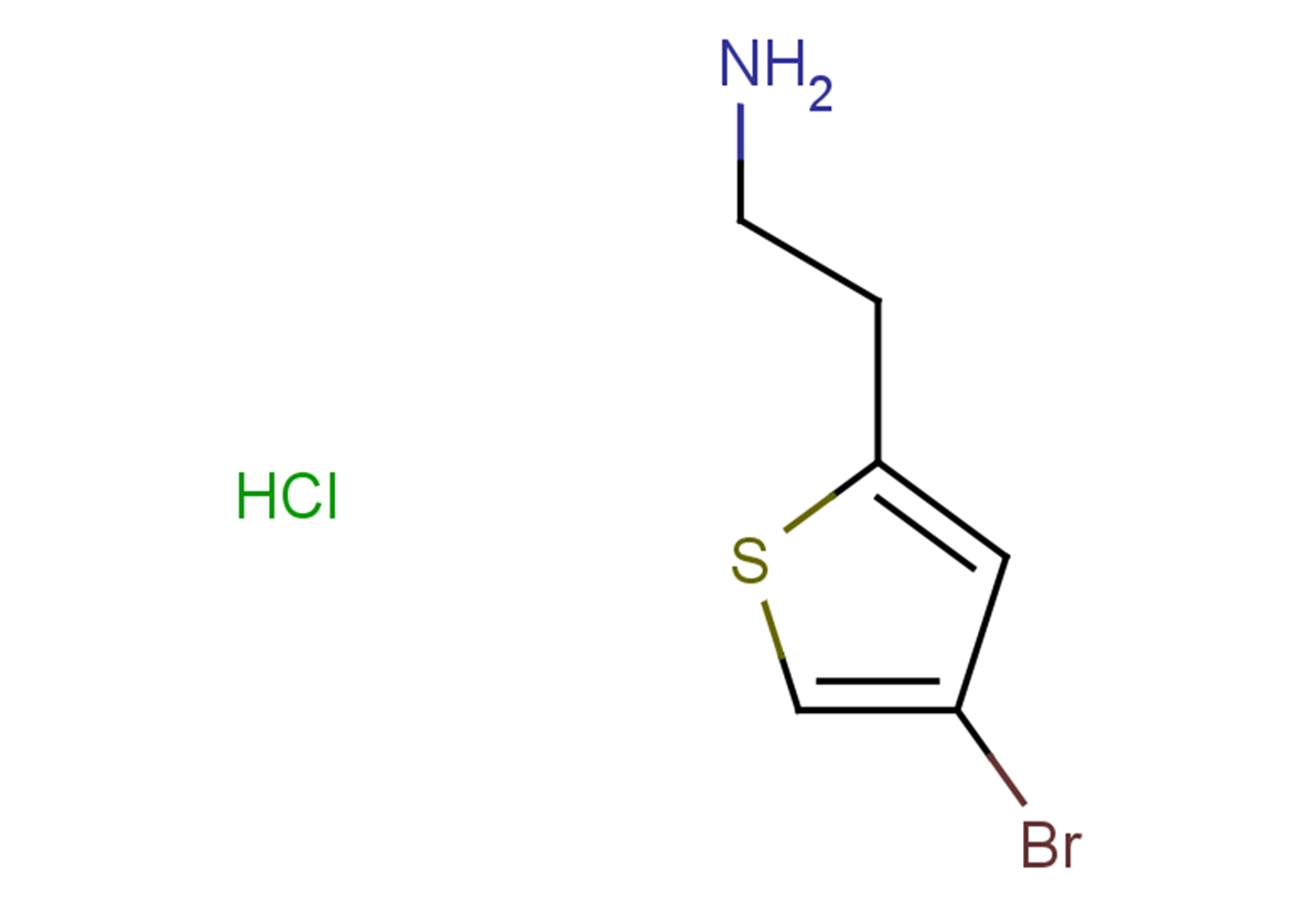 2-(4-bromothiophen-2-yl)ethan-1-amine hydrochloride