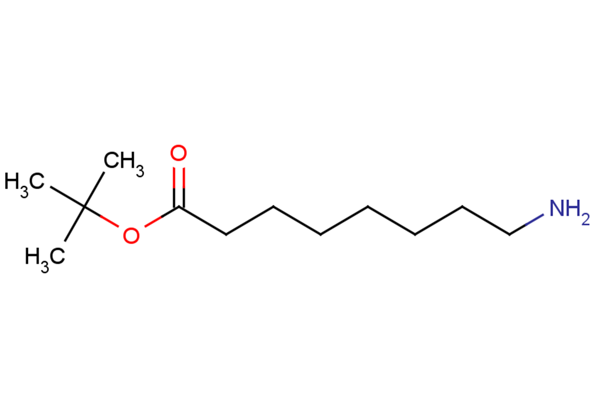 tert-butyl 8-aminooctanoate