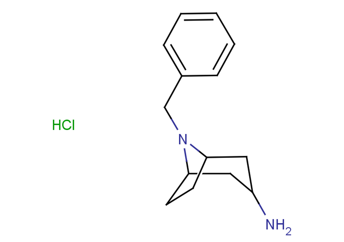 8-benzyl-8-azabicyclo[3.2.1]octan-3-amine hydrochloride