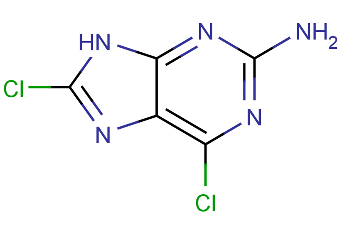 6,8-dichloro-9H-purin-2-amine