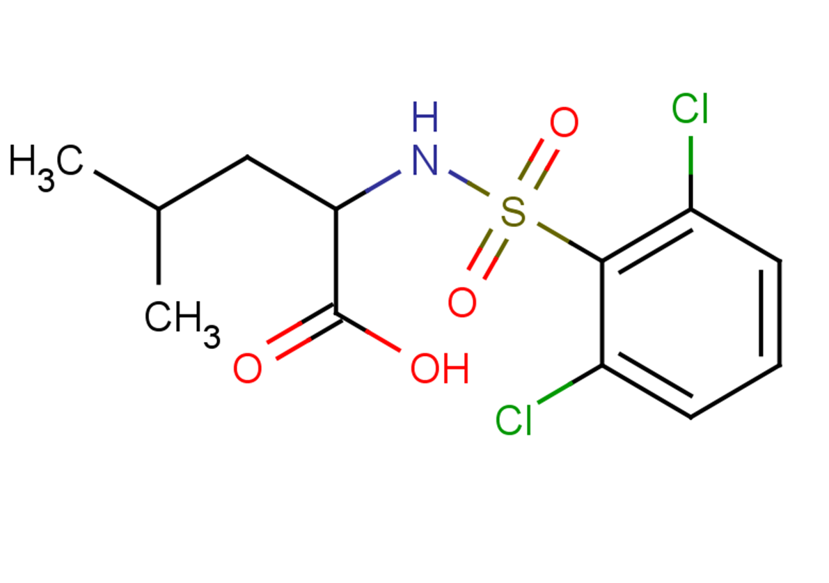 2-[(2,6-dichlorobenzene)sulfonamido]-4-methylpentanoic acid