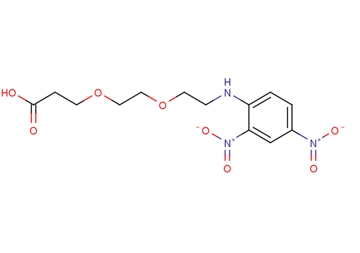 3-(2-{2-[(2,4-dinitrophenyl)amino]ethoxy}ethoxy)propanoic acid