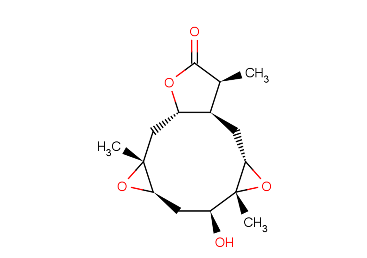 Carabrolactone A