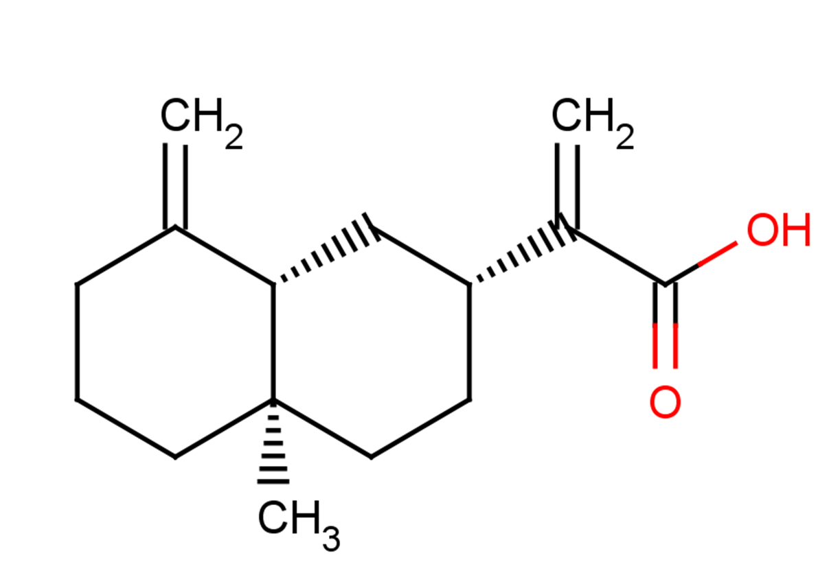 β-Costic acid
