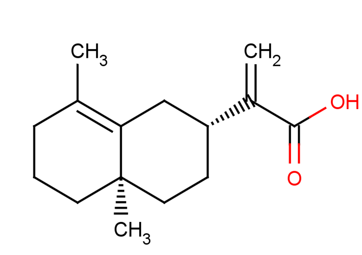 Isocostic acid