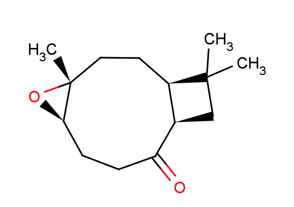 Kobusone