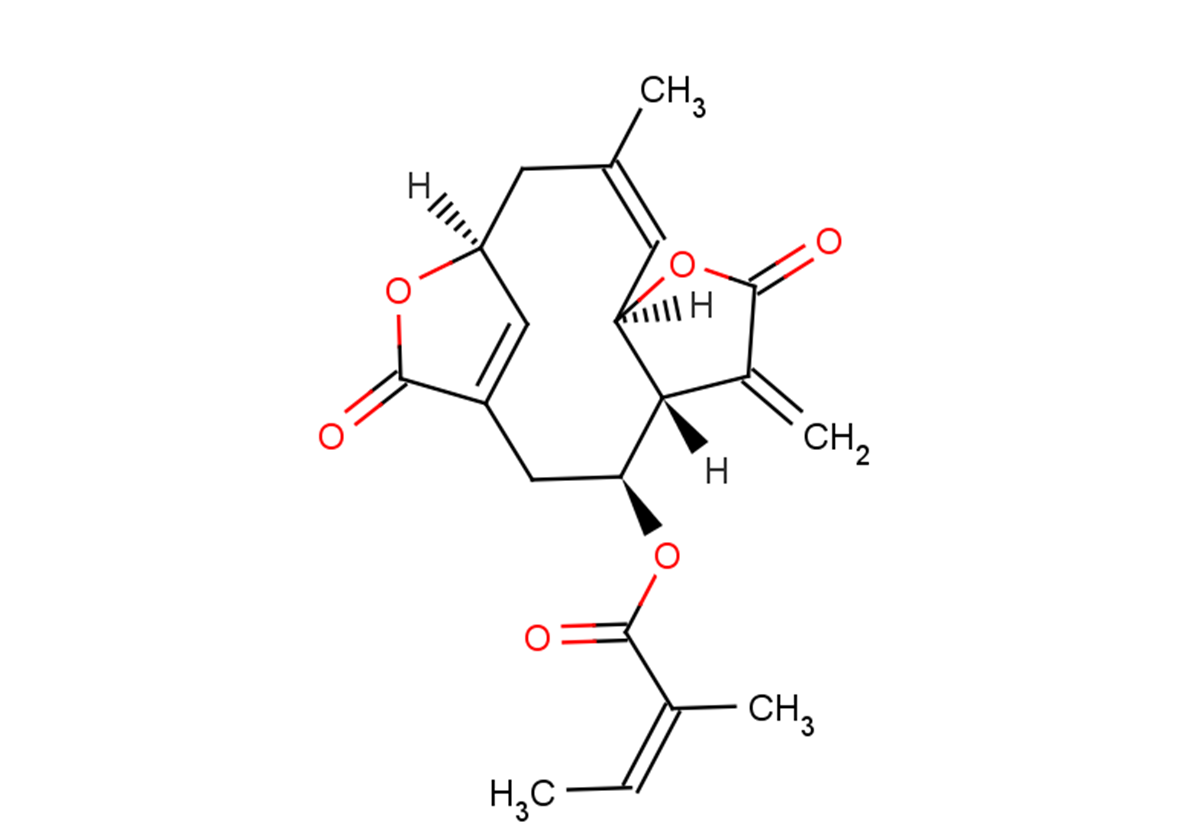 Scabertopin