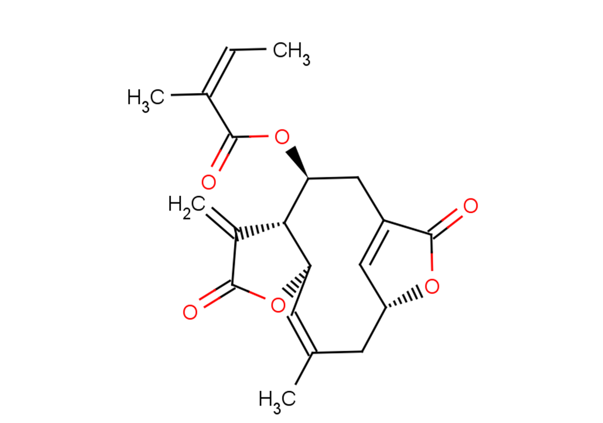 Isoscabertopin