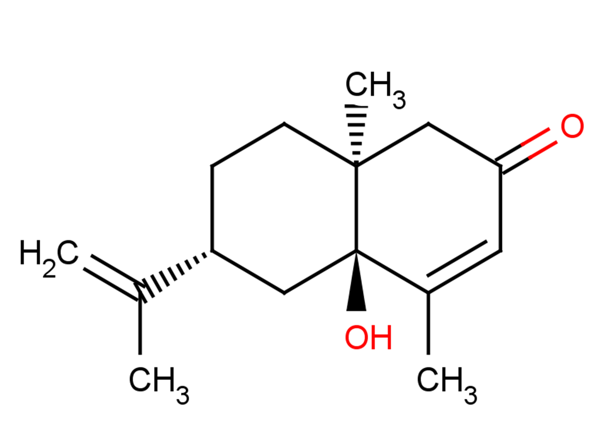 β-Rotunol