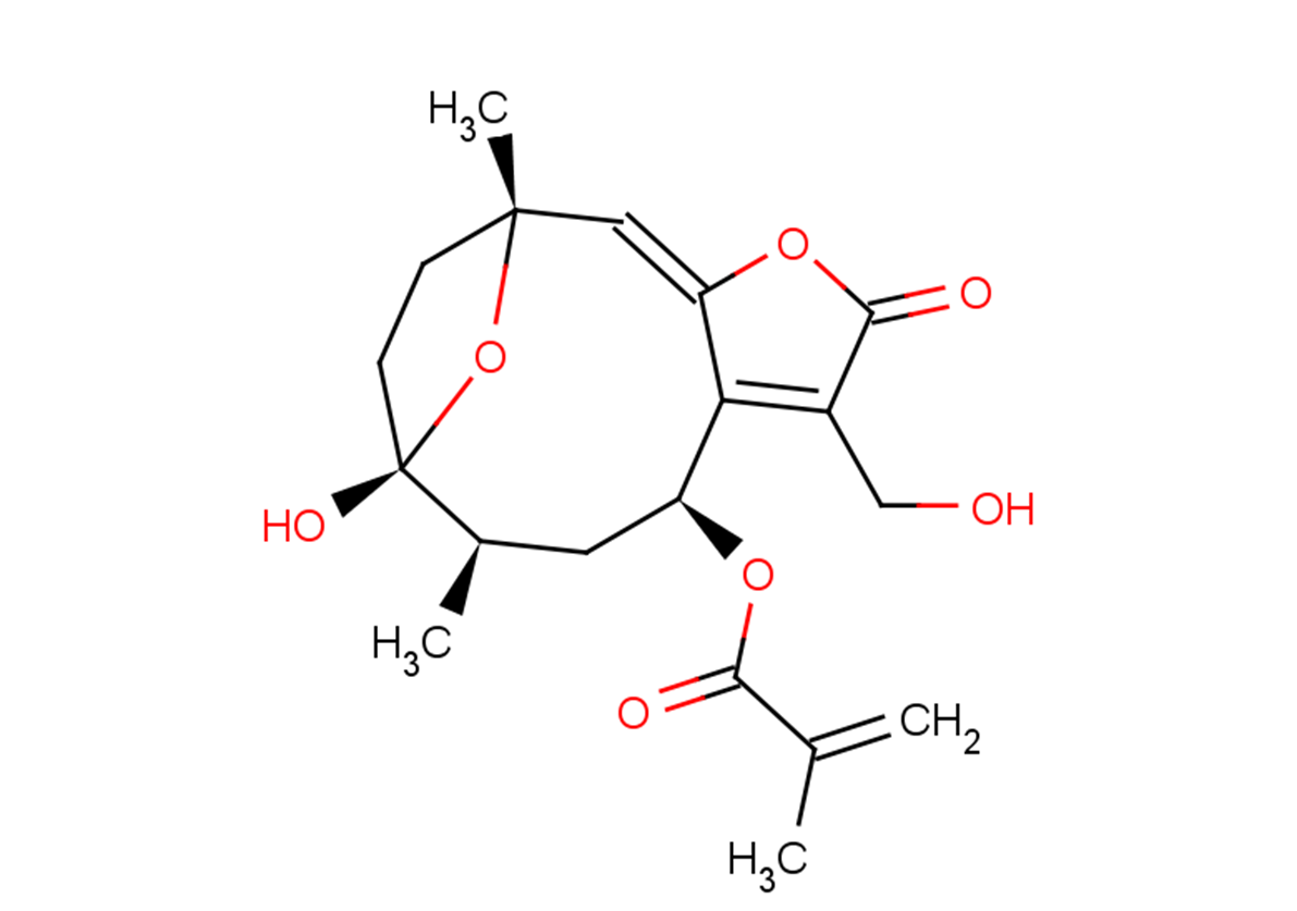 8α-(2-Methylacryloyloxy)hirsutinolide