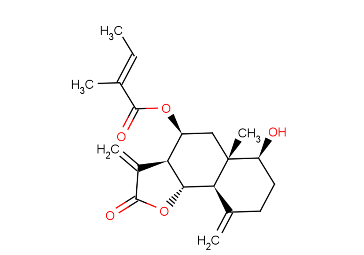 8β-Tigloyloxyreynosin