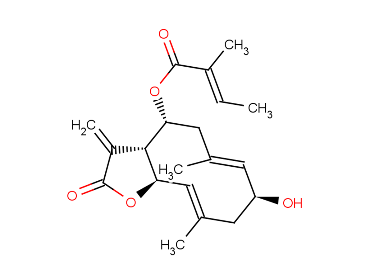 Mollisorin A