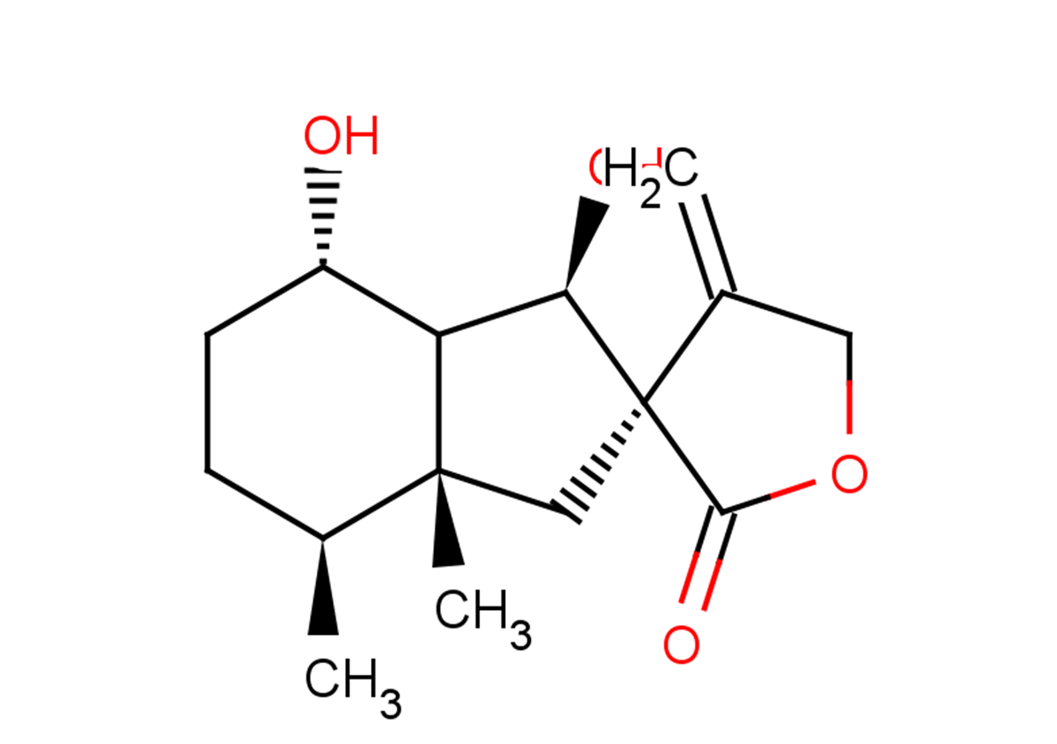 Bakkenolide III