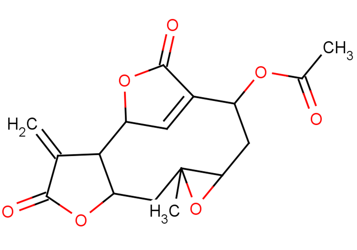 Scandenolide