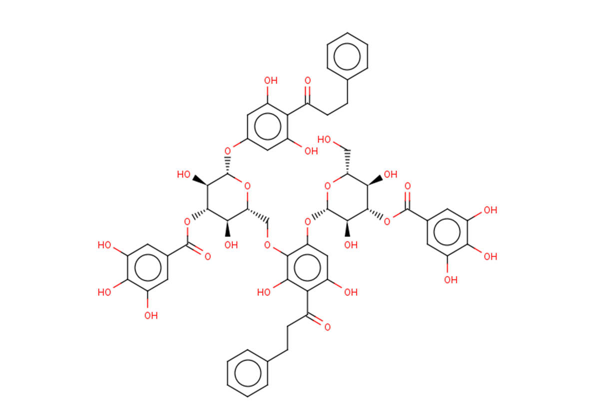 2',4',6'-Trihydroxydihydrochalcone 4'-O-(3''-O-galloyl)glucoside
