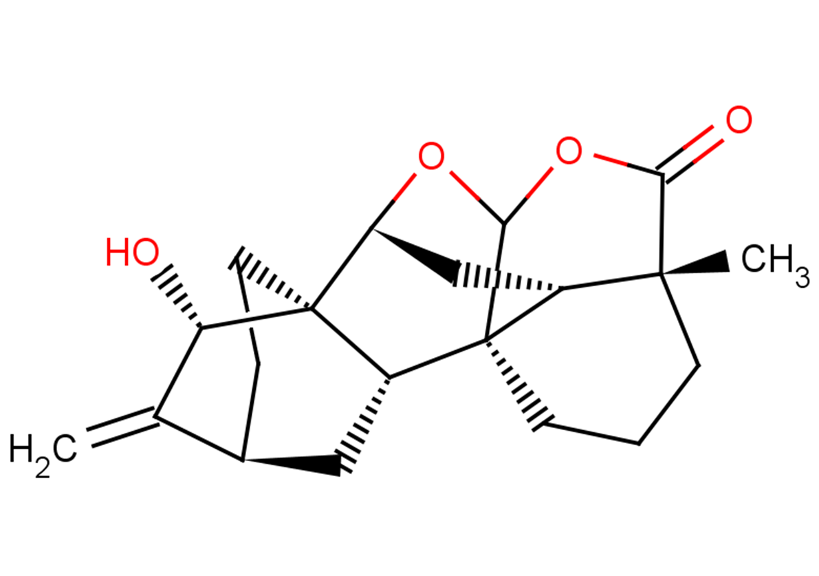 Spiramilactone B