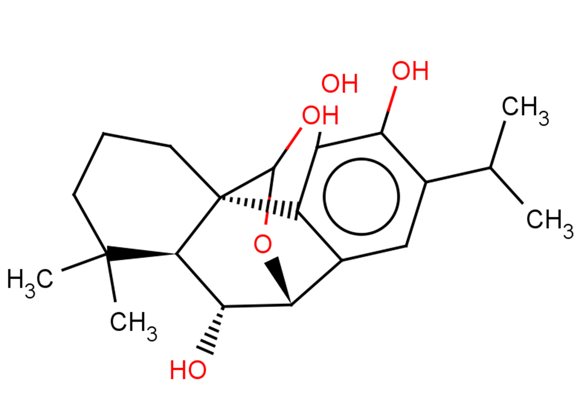 6-Epidemethylesquirolin D