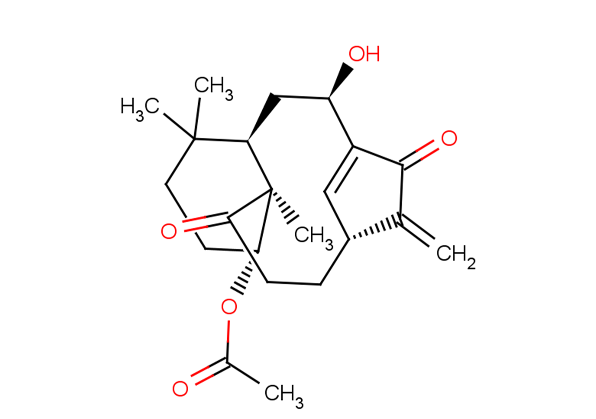 Kongensin A