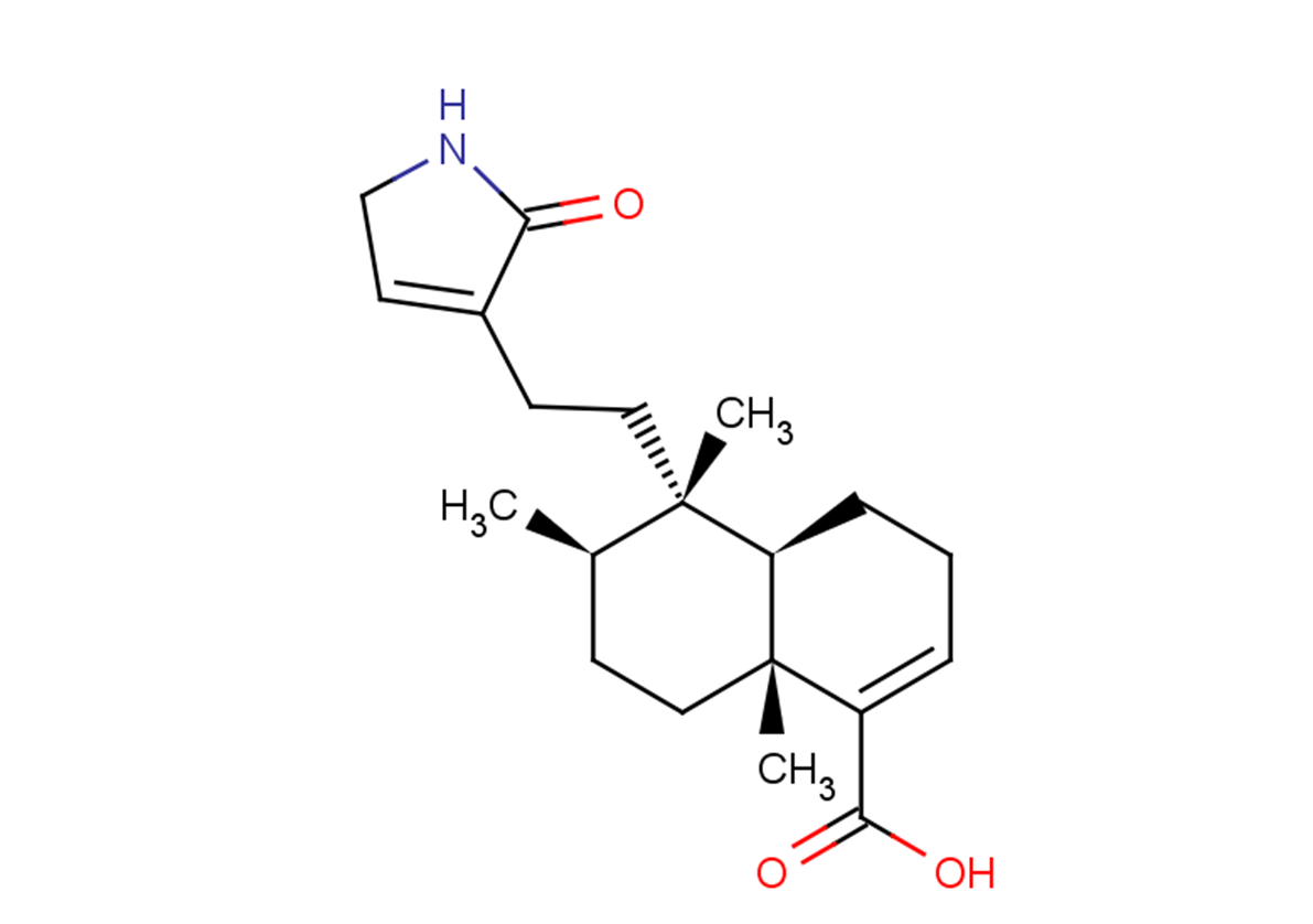 Echinophyllin C