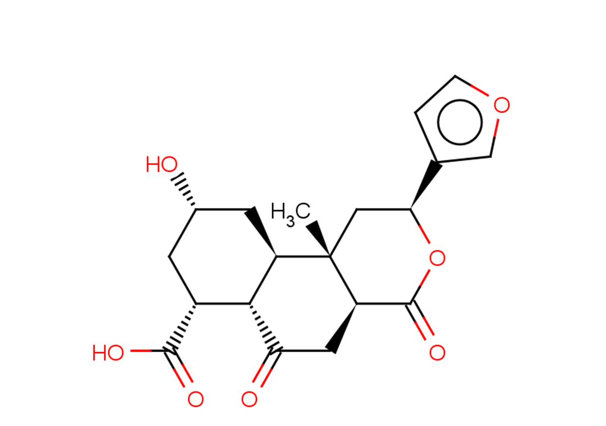 Diosbulbin L