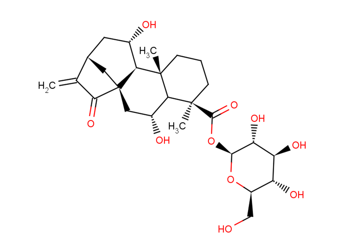 6β-Hydroxypaniculoside III