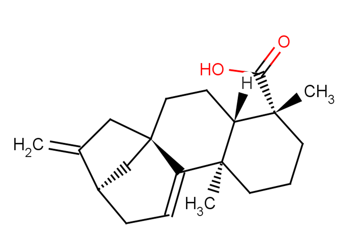 Grandiflorenic acid