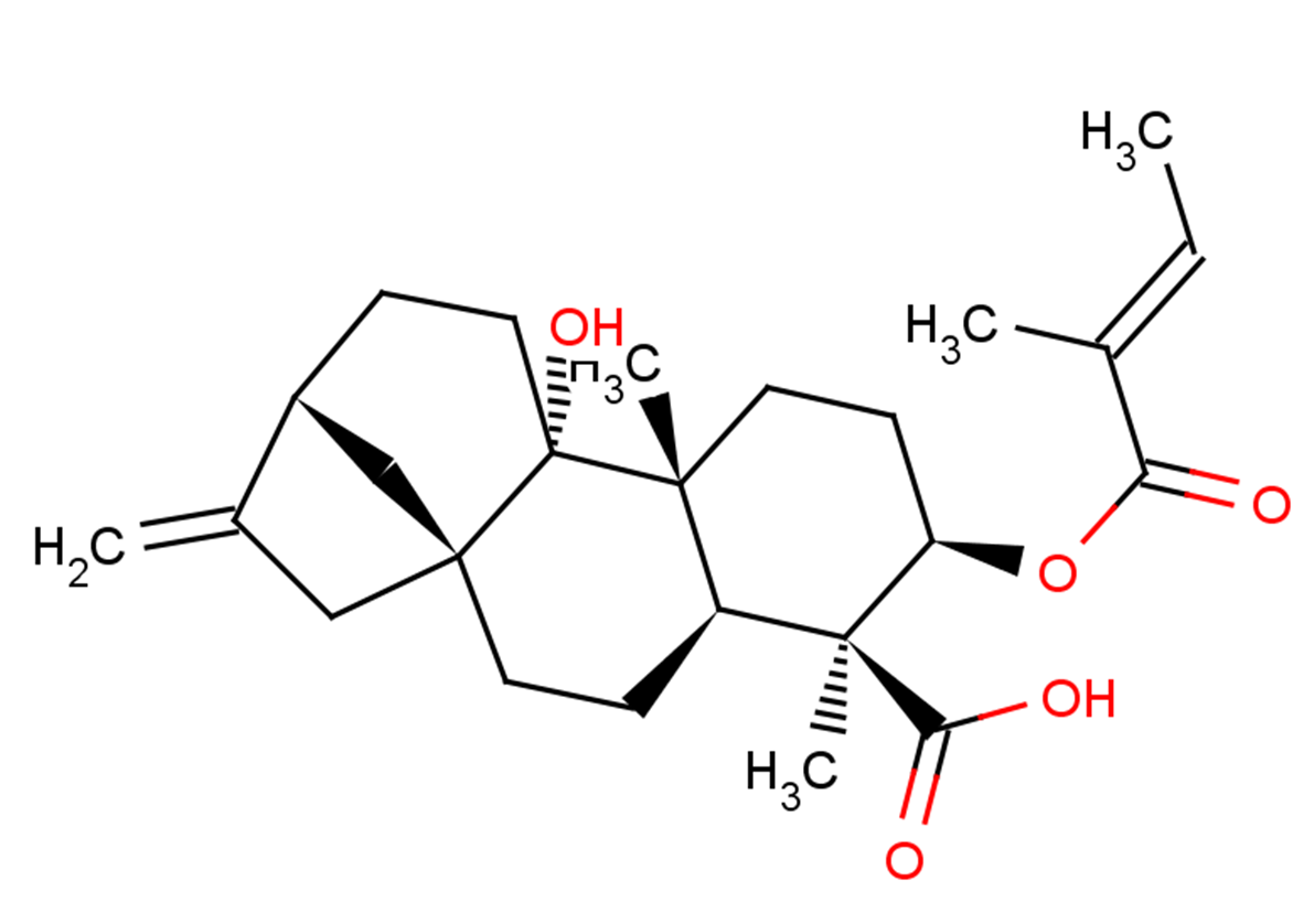 3α-Tigloyloxypterokaurene L3