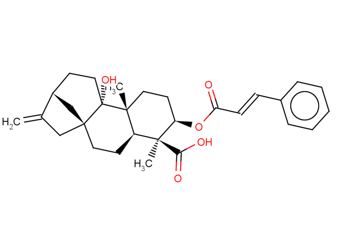 3α-Cinnamoyloxypterokaurene L3