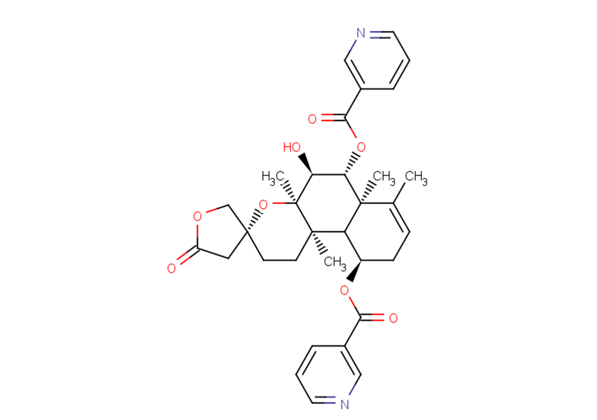 6-O-Nicotinoylscutebarbatine G