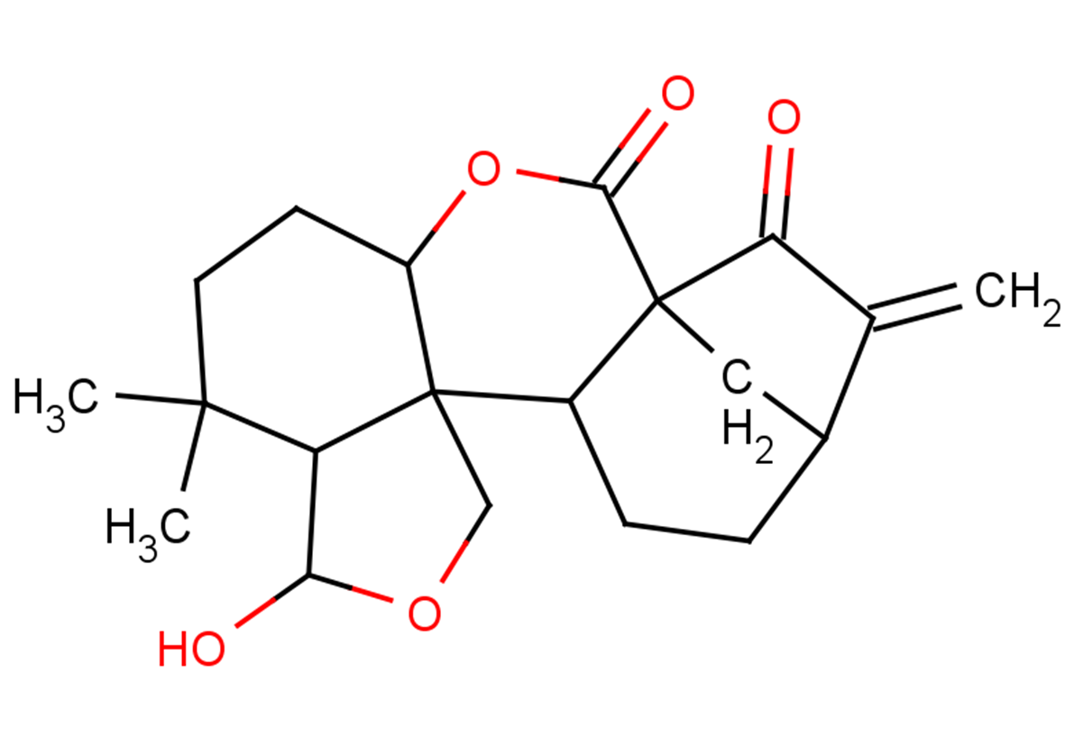 Isodocarpin