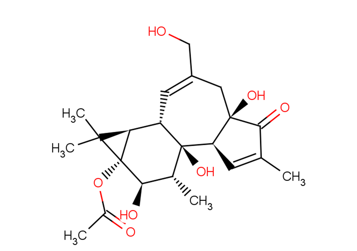 Phorbol 13-acetate