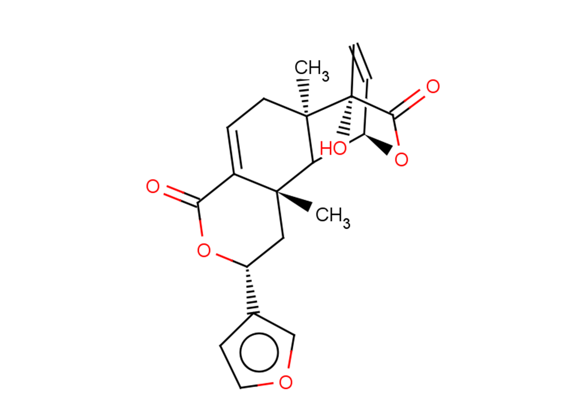 Fibleucin