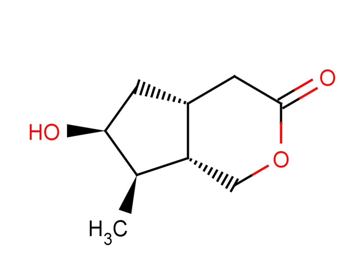 Isoboonein
