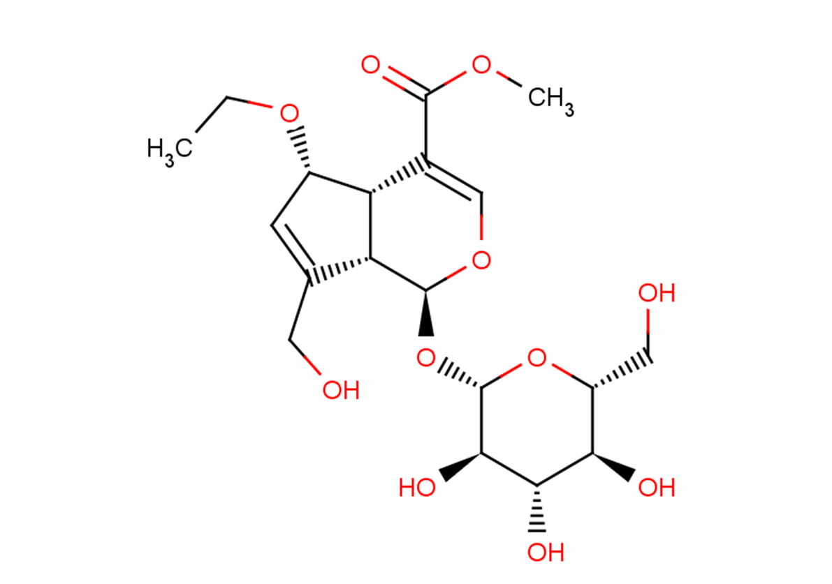 6-Ethoxygeniposide