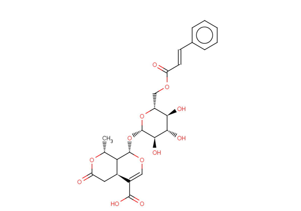 6'-O-Cinnamoyl-8-epikingisidic acid
