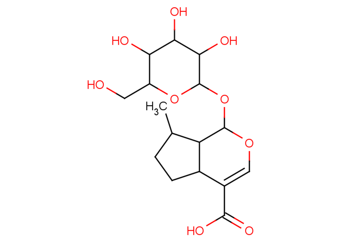 8-Epideoxyloganic acid