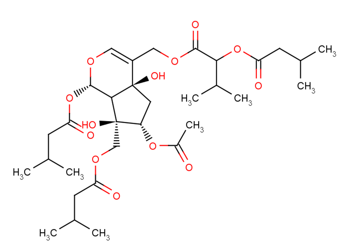 Jatamanvaltrate B