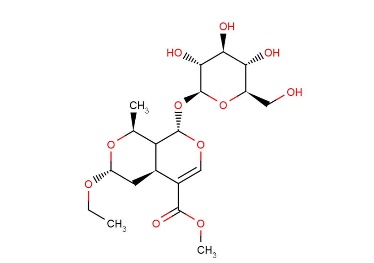 7β-O-Ethylmorroniside
