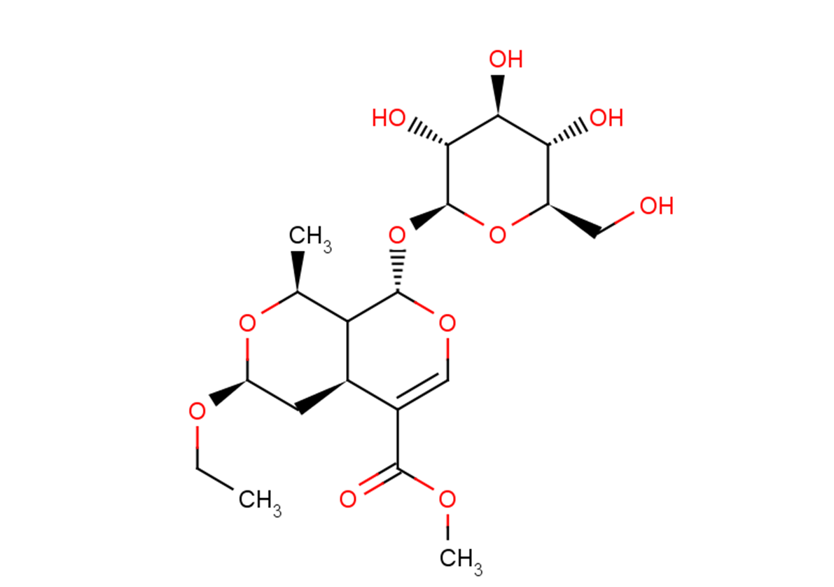 7α-O-Ethylmorroniside