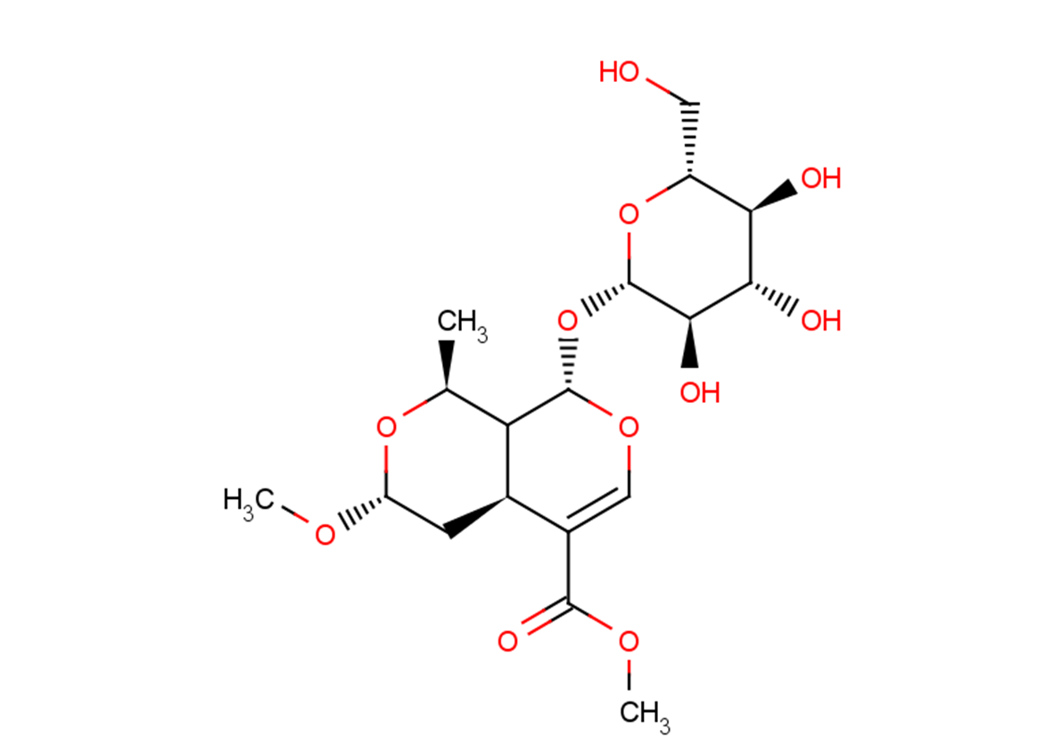 7β-O-Methylmorroniside