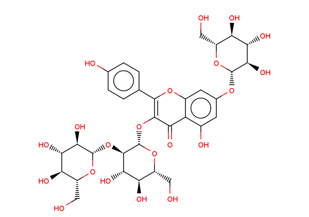 Kaempferol 3-O-sophoroside-7-O-glucoside